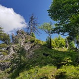 370BE0D0-E20E-4530-B328-B32E00A79EE8