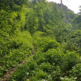 3CDD4F83-6565-489F-B16E-691A9C77132A