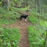 7363FE41-AEBF-4729-98D1-A7C152CADB28