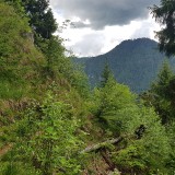 A537A1FB-7A07-4FB0-AF9B-74FE58A963CF