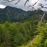 D3265D02-18FB-4F30-A505-D6515BCDC30F