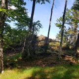 47B0D03F-472B-4552-85BC-12300D87254F