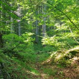 561095BA-1B56-434E-9D93-8AFB68D8A8CC