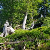 65328EB5-3AFE-40A3-B3A4-A8891A1F42CA