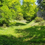 C028FAEA-BD19-433C-9817-957EC6DA6479