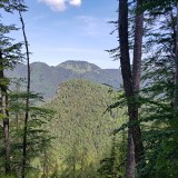 C8E8D030-FD5D-4725-94EF-3A646FFC15F3