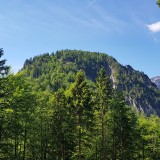 E59C80C0-2F92-4F4C-9F60-D4CAF8CF59CF