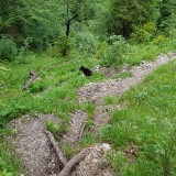 30A6FD6C-37B0-48F4-8382-95BDB1D19FF6