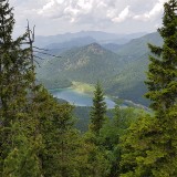 81AD366C-E86F-485C-BA64-44C2AD546170