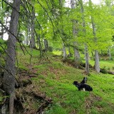 880197A6-5468-4957-94A2-66CDDBA135C2