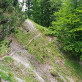 C456605F-2B06-45AE-9B97-184D2503DC8B