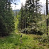 15D7EC1A-999A-4AEC-AFA1-4B64D042E9B8