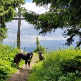 67FF50E2-4D7B-4EBA-9BF9-AE7A1C80F976