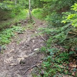 6F68EA88-E564-4E9D-AD6D-F2F19C1EFC10