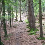 D429B2EF-D5E7-4350-853A-0994BD776F2B