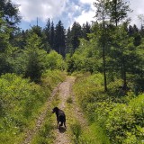 DFB2A6DE-777B-4100-8DA9-34C486DE3A62