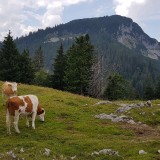 6DB51ABA-A14A-49AF-8FA4-FE10722E53B6