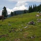 9BA3FD10-FCD7-4785-902F-460D61E3FF40