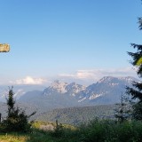 B1DC9254-31F0-4C98-B795-193371A467AD