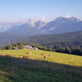 BB7A87A8-A99C-4182-B3E8-6C660A869C8B