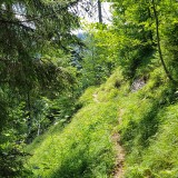 3FFAEB46-C667-410A-A487-9393A4F9FF5F