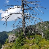 56291B3B-3B90-4FB3-9221-9DACF844A2E3