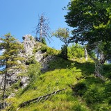 6D1DA7AC-B075-4304-AD73-BF33DFB53291