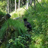 700D6CEB-B7B0-4CC0-BFAB-A9BB8F4AD231