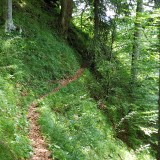 EF3520C3-9F39-4CDB-80BE-FF3940924A73