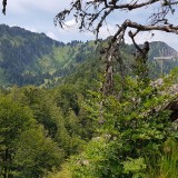 74FA8E1D-3E75-42E7-A83D-B685EC36A6BD