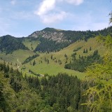 A5180E94-FD7E-418E-A4C7-B34E851D8961