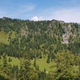 A55D4249-AC1F-4CD5-9C35-D40B63E723E6