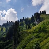 C9680776-8236-49EB-A862-C4E0FAA93793