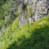 D62FA7EE-3976-4F63-A562-C3DB921088A9