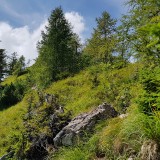 DEF3AE80-4A3D-461C-8BD3-F06C496B2A56