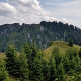 E520C90A-E1AF-4F4C-A8DB-DE73609887C9