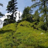 EB0547ED-D8B1-456A-8471-5F8B59A457DD