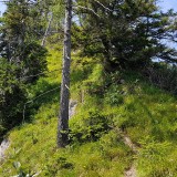 F087C8BB-A581-4077-9582-C77148E2B1A0