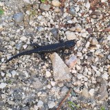 32B7CDD6-B305-4BE0-8A05-7C9D586E4DE7