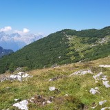 0794B3B7-E4C6-4562-8259-F771DEECFD73