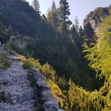 2DE72773-F400-4AE8-8C13-5C7DC29EFFE0