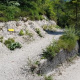 5D0A1141-A22A-49B7-83DE-AA4ACCBB6F94