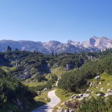 82398C92-BCEC-435C-924B-920FAB74AC4B