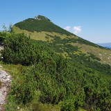 C2C98F35-D3C9-482C-A499-42E5FE7C0FF1