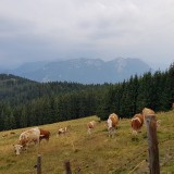 F682C2F6-BE02-43A5-A2B7-8D8D10CDCD22