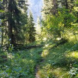 251D0C50-5057-419B-9246-E7E40B3399DC