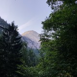 356DD86F-FDF7-4AA6-873A-83CC14D08B72