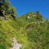 4338593E-7345-4B8B-AAC4-D780C50F0AF9