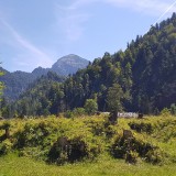 B1B9B540-72DE-4E7E-95D1-B9F8EB95C90E