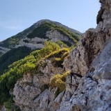 F18B3136-C8CA-494D-A2DB-84ED481242A1